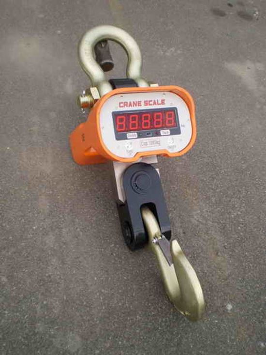 Picture of 10 tonne crane scales