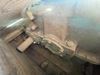 Picture of DHI-14